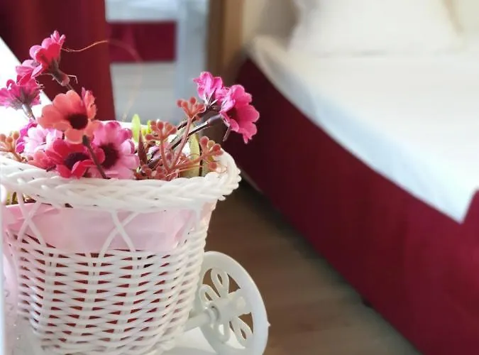 Afrodita Bg Димитровград